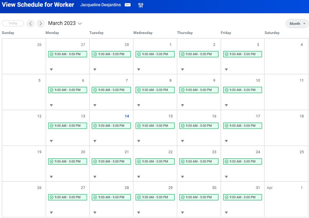 A screenshot of the View Schedule for Worker report as described in the preceding text.
