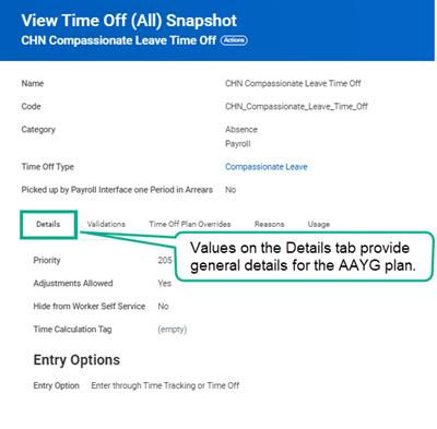 Screenshot of View Time Off (All) Snapshot. The Details tab is highlighted with the text "Values on the Details tab provide general details for the AAYG plan".