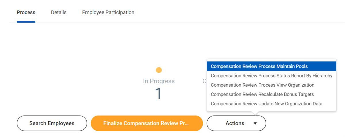 The Compensation Review Process Actions Menu with the following options displayed: Process Maintain Pools, Process Status Report by Hierarchy, Process View Organization, Recalculate Bonus Targets, and Update New Organization Data.