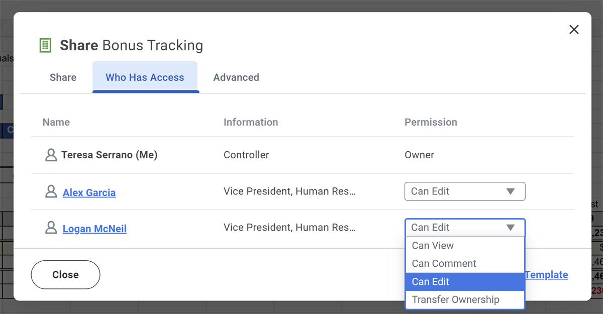 Image of the Share Worksheet Options with the Who Has Access tab highlighted.
