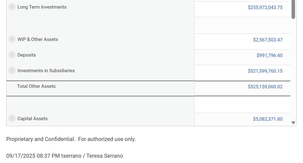 Screenshot that highlights a custom footer on a composite report output.