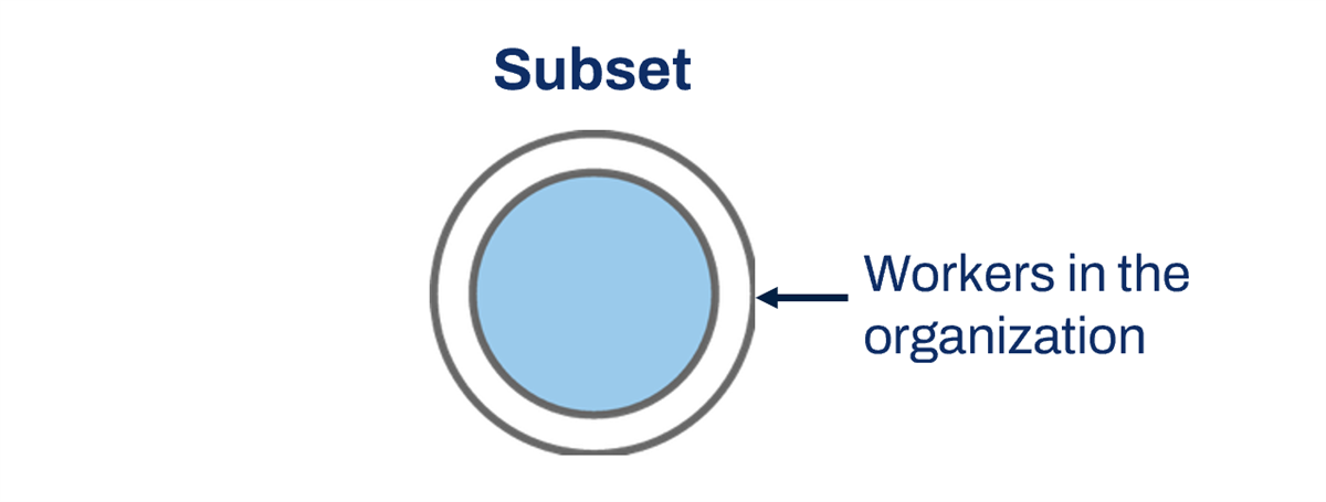 Diagram of a Subset extract multi-instance operation type. A circle representing workers in the organization has a smaller circle within it. The smaller circle is highlighted.