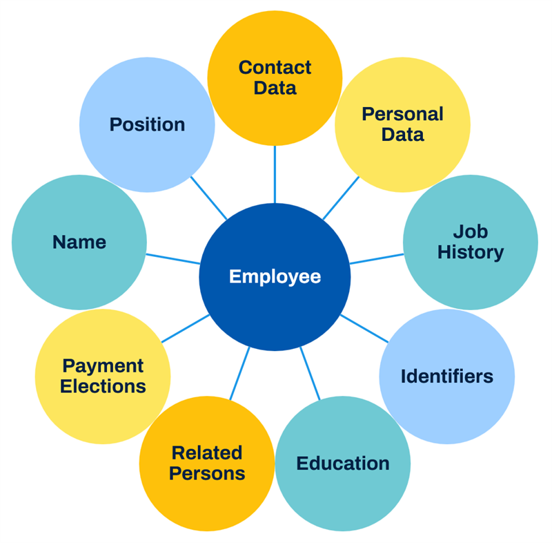 A hub-and-spoke diagram places Employee at the center, surrounded by connected data nodes like Position, Personal Data, and Payment Elections.