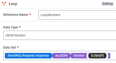 The definition of a loop step including the data type and data set definitions.