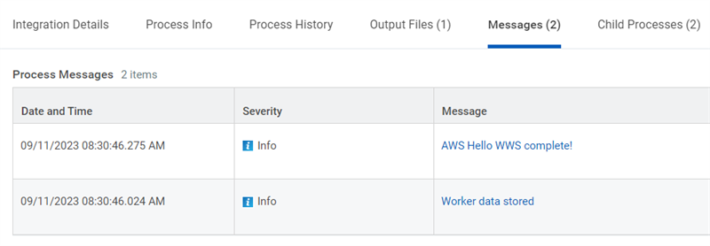 Screenshot of the Process Messages table displays two informational log entries detailing execution timestamps and integration statuses.