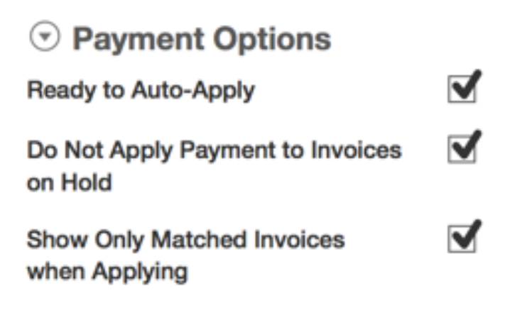 Three selected checkboxes enable automatic application and hold rules within the Payment Options configuration section.