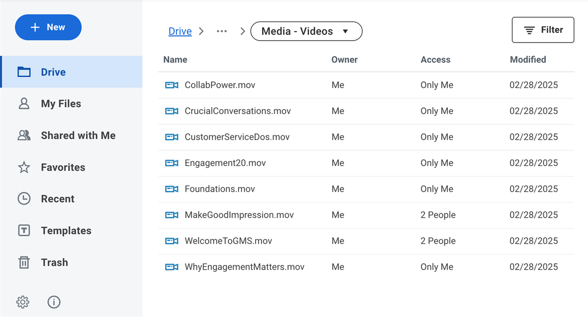 A screenshot of media files in Workday Drive, as described in the text above.