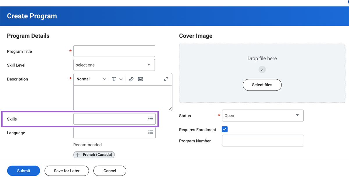 Screenshot of the Create Program template highlighting the skills field, as described in the text above.