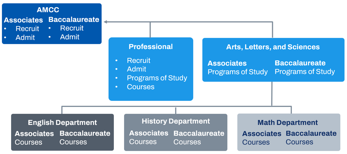 An example of a community college academic structure.