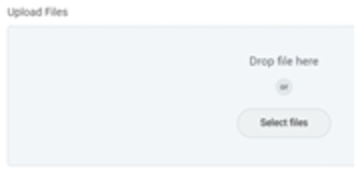 A file uploader labeled Upload File. Prompts are Drag file here or an interactive Select files button.