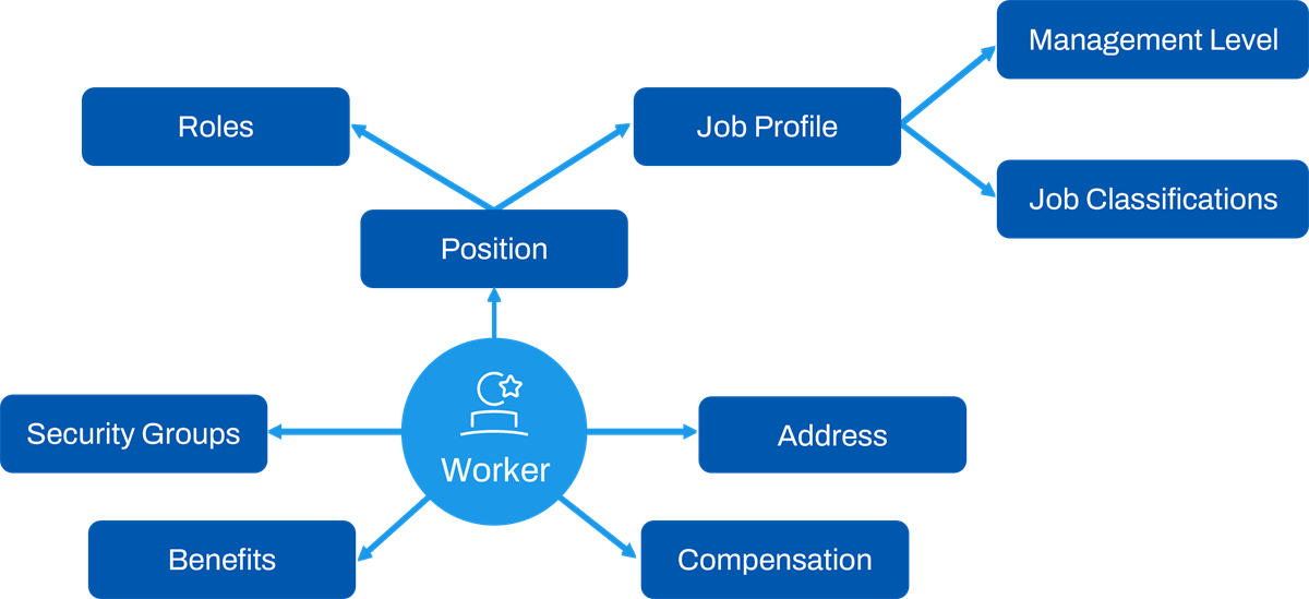 Business objects have many related business objects, and related business objects can also have related business objects. In this example, Worker is a business object that has many related business objects, such as: Security Groups, Benefits, Compensation, Address, and Position. Position has related business objects, such as Roles and Job Profile. Job Profile also has related business objects, such as Management Level and Job Classifications.