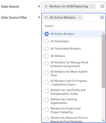A list of data source filters for the Workers for HCM Reporting indexed data source.